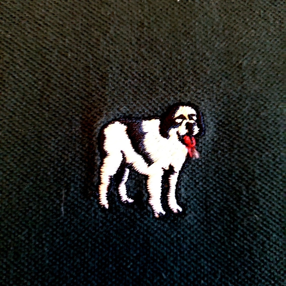 Big Dog embroidered polo shirt